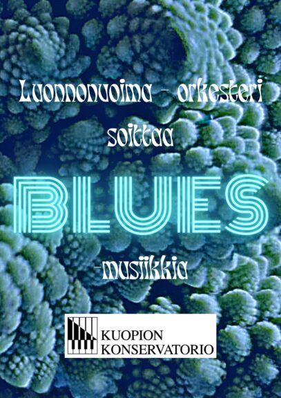 Tea Sorjonen - Luonnonvoima plays the blues